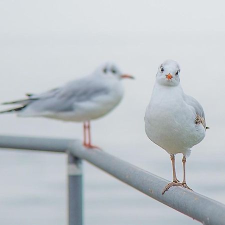 Meerzeit - Maritime Fewo In Timmendorfer Strand Exteriör bild